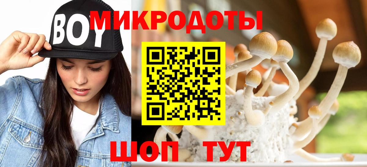 Галлюциногенные грибы Cubensis  Вход с VPN  Туапсе 